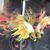 Joann Dean's profile image