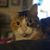 MingMing Conklin's profile image