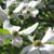 Julie Austin Cooper's profile image