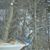 Sue Schaffer Williams's profile image