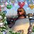 Deirdre Kenny's profile image
