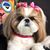 Lisa Kalmanson's profile image