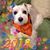 Laurie Hines Mashburn's profile image