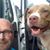 Kevin Cavanagh's profile image