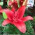 Linda Daniel Crump's profile image