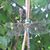Darlene Alldredge's profile image