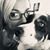 Rachael Sage's profile image