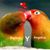 Angelicafederico Saavedra's profile image
