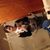 Donavan Colden's profile image