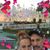 Flor Griss's profile image