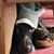 Billy Dinneen's profile image