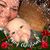 Teri Hoyler's profile image