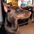 Adrienne J Venditti's profile image