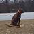 Cindy Franklin's profile image