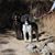 Sandra Simmons's profile image