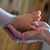 Sharon LaFever's profile image
