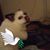 Bo Hobbs's profile image