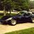 Lane Valliere's profile image