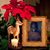 Jonathan James Williams's profile image