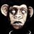Chew Wookie's profile image