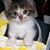 Bobbie Quick's profile image