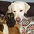 Dorothy Scanlon McGinnis's profile image