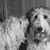 Claire Shoen's profile image
