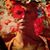 Sue Brown's profile image