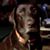 Sandy Scott's profile image
