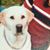Lori Mahaney Rickman's profile image
