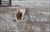 RunJane R.'s profile image