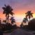 Holly Meyer Bednarek's profile image