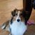 Kim Casselman's profile image