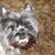 Sondra Stokes's profile image