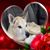 Carl J. Silva's profile image
