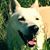 Don Rutherford's profile image