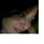 Frances Naser's profile image