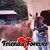 Michelle Desmarais's profile image