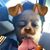 Elijah Binns's profile image