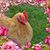 Karon Hoover Ashford's profile image