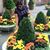 Sulma Rebeca's profile image