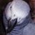 Neil Chochrek's profile image