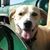 Kristi Andersen's profile image