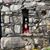 Mary Ann Allmaras's profile image