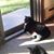 Cindy Lee Beurjey's profile image