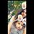 Donna Lopez's profile image
