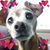 Linda Peters's profile image