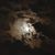 Kristle Callander's profile image