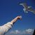 Lucinda Knelsen's profile image