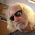 Kenneth John Keiser's profile image